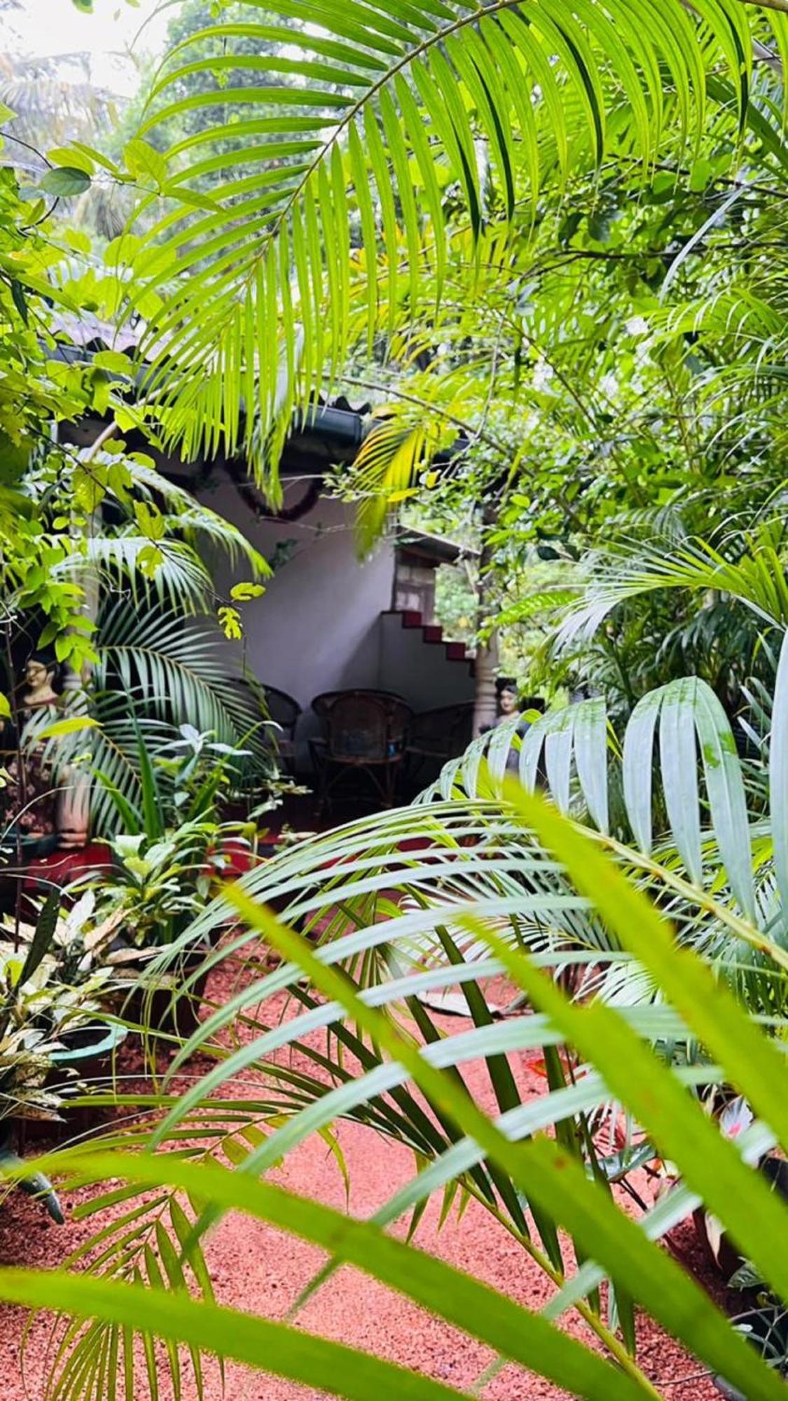 Sigiri Kp Family Home سيغيرِيا المظهر الخارجي الصورة