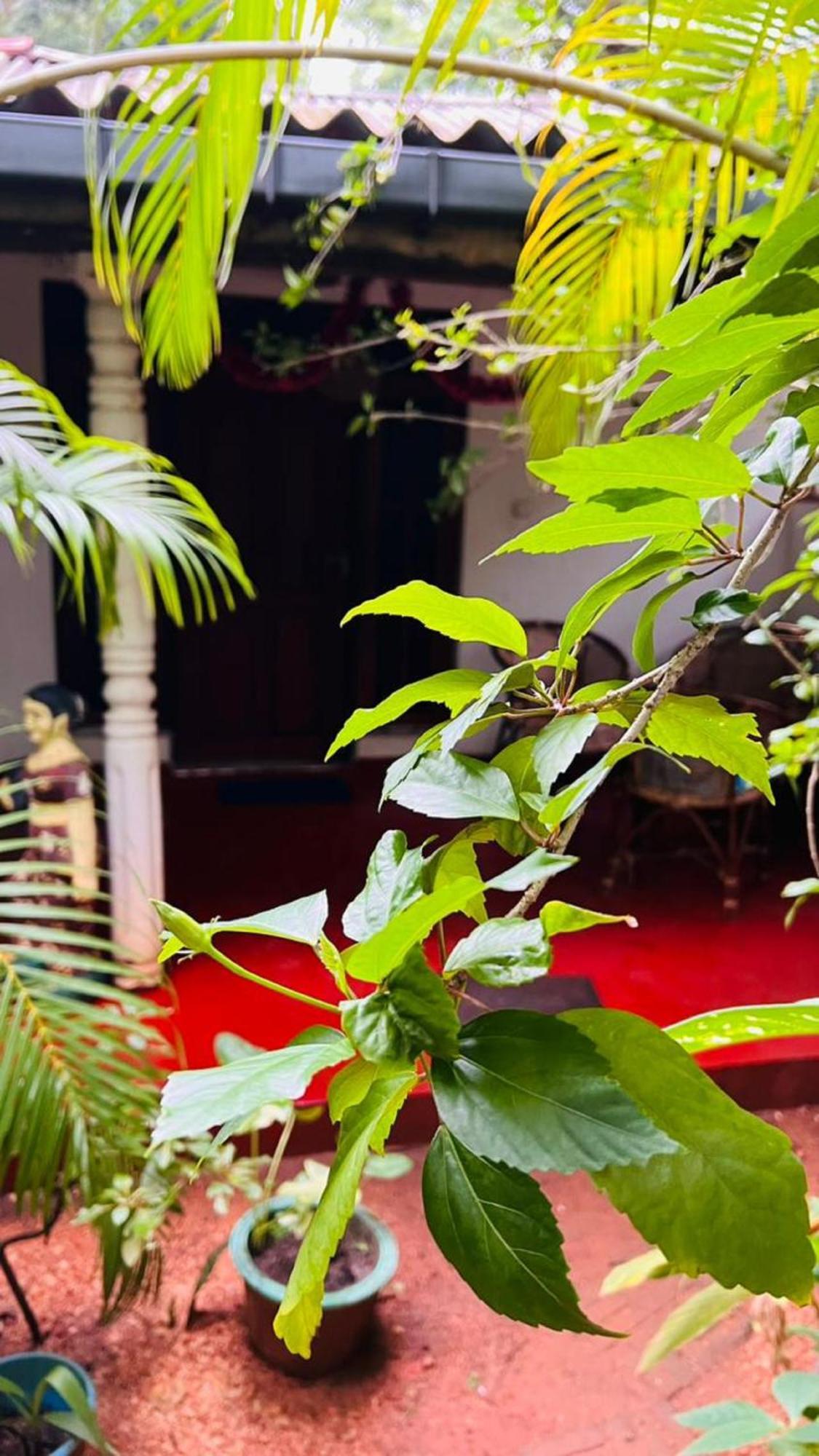 Sigiri Kp Family Home سيغيرِيا المظهر الخارجي الصورة